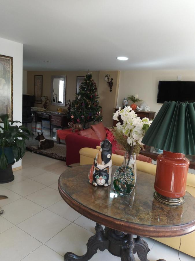 Charming Sunny Bedroom Overlooking Beautiful Amsterdam Avenue In Best Condesa Area Ciudad de México Exterior foto