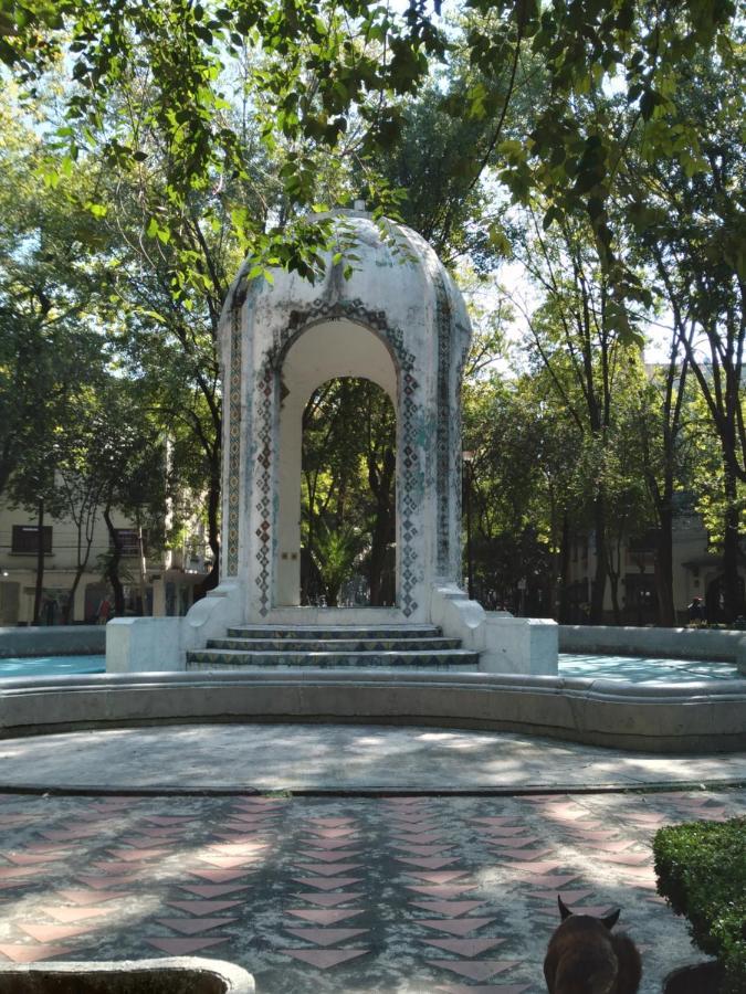 Charming Sunny Bedroom Overlooking Beautiful Amsterdam Avenue In Best Condesa Area Ciudad de México Exterior foto